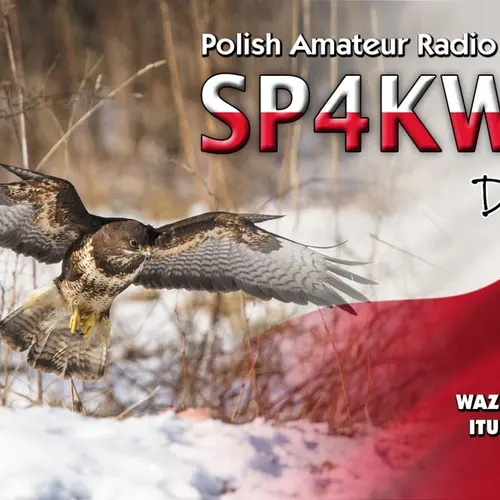 SP4KWD profile image