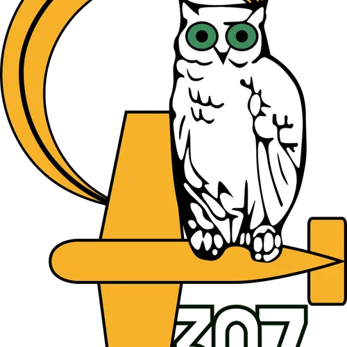 SP307RAF profile image