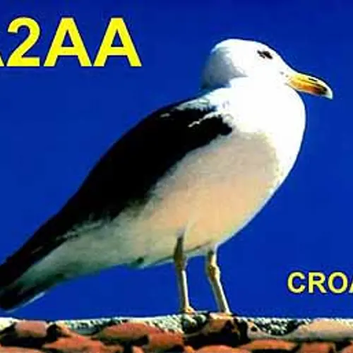 9A2AA