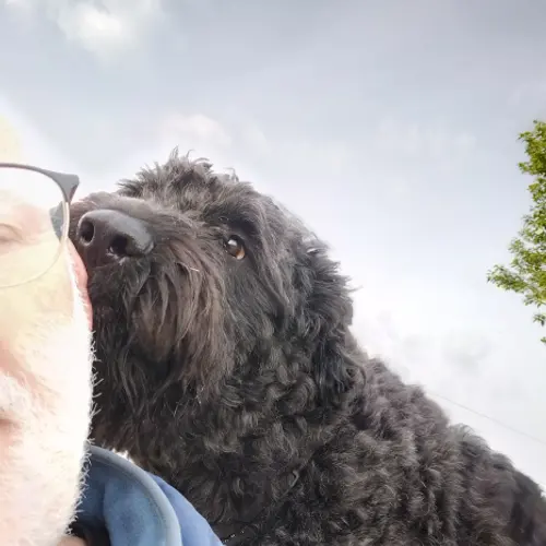 PH1C profile image
