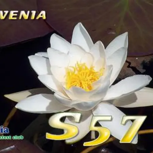 S57T profile image