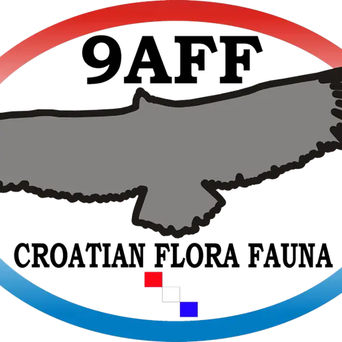 9A44FF