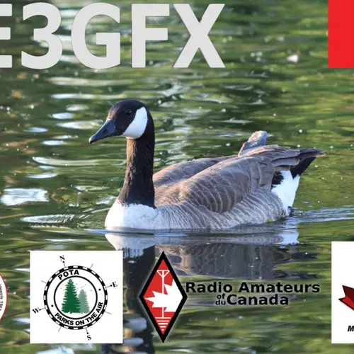VE3GFX profile image