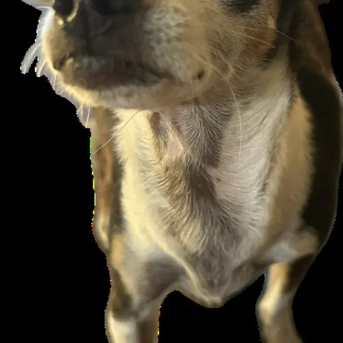 N3YB profile image