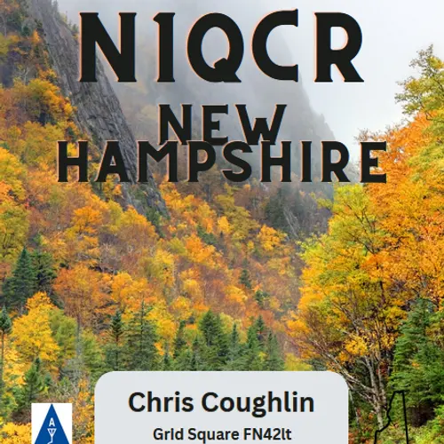 N1QCR profile image