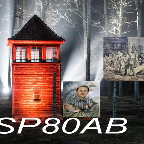 SP80AB profile image