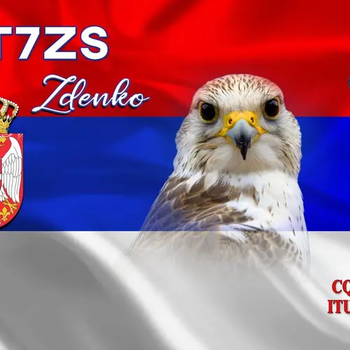 YT7ZS profile image
