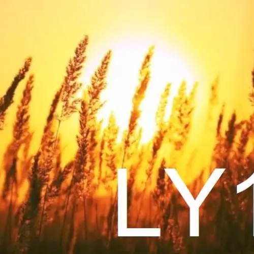 LY1H profile image