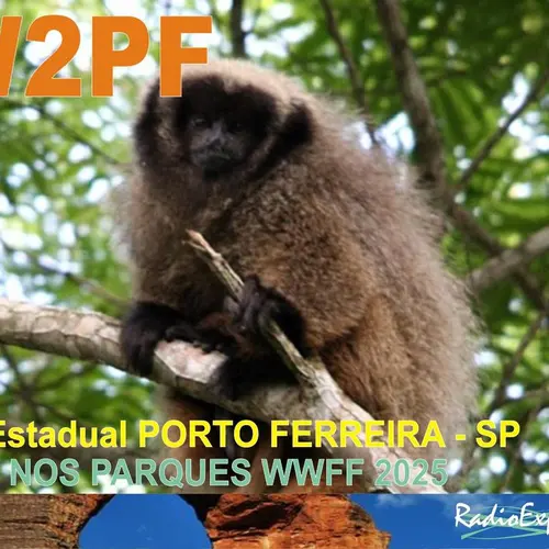 PW2PF profile image