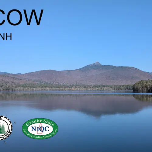 N1COW profile image