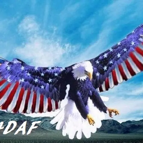 W4DAF profile image