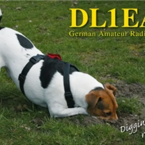 DL1EAL