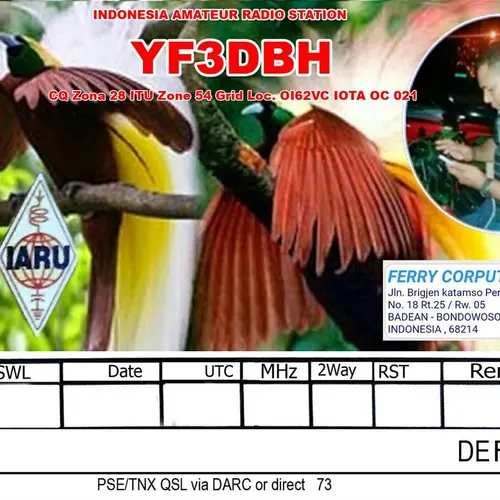 YF3DBH profile image