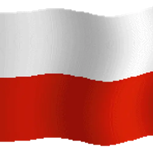 SP7XIF profile image
