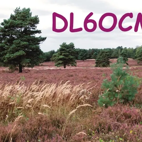 DL6OCM