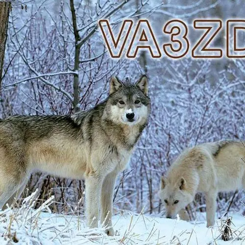 VA3ZDX profile image