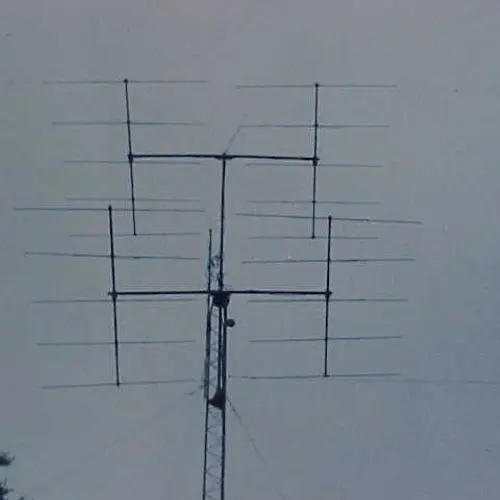 NY1E profile image