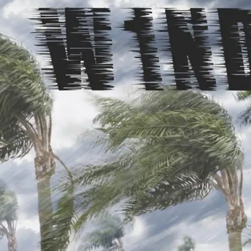 W1NDS profile image