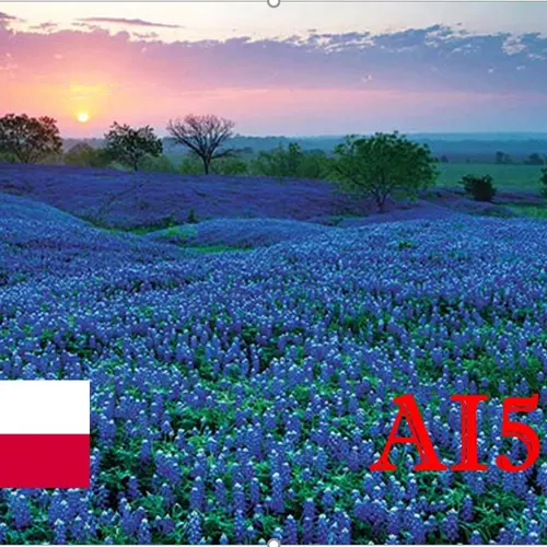 AI5R
