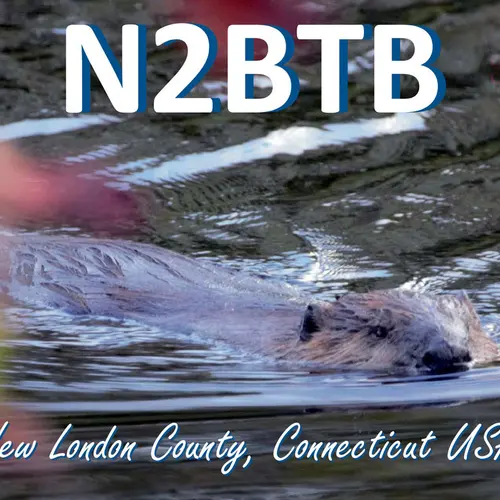 N2BTB profile image