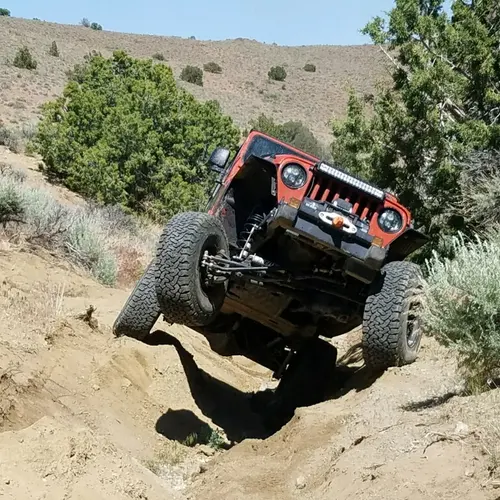 N7TJ profile image