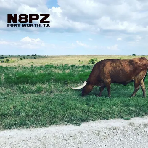 N8PZ profile image