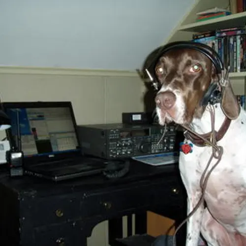 W3EDP profile image