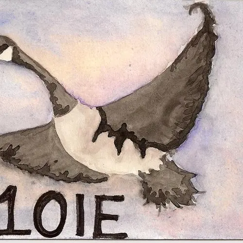 N1OIE profile image