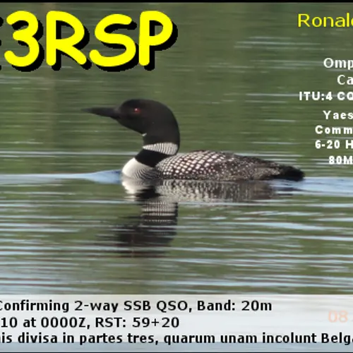 VE3RSP profile image