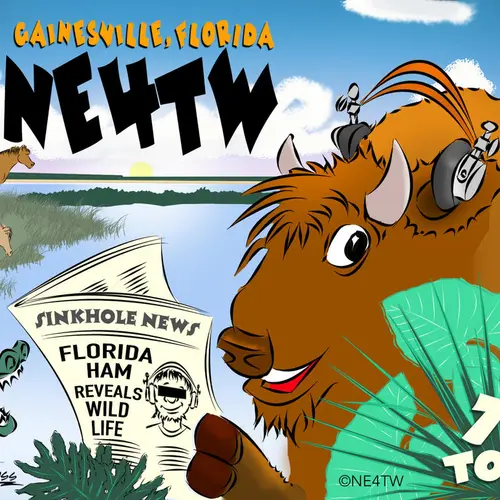NE4TW profile image
