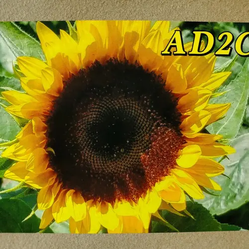 AD2CD