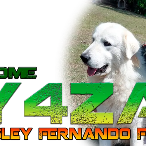 PY4ZAP profile image