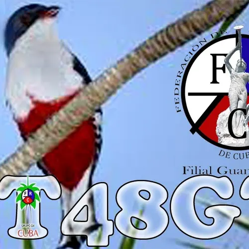 T48GT profile image
