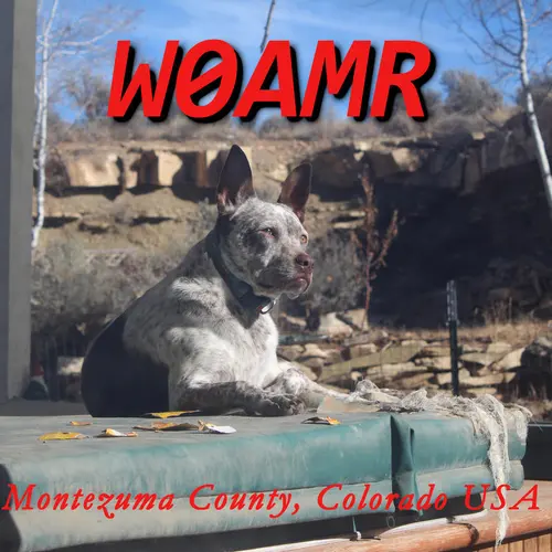 W0AMR profile image