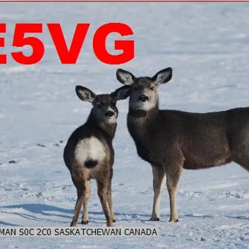 VE5VG profile image