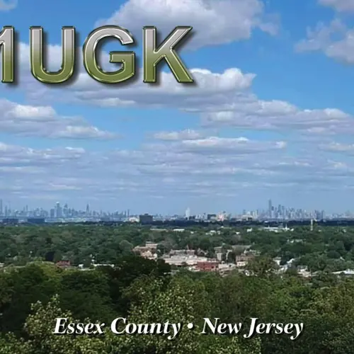 N1UGK profile image