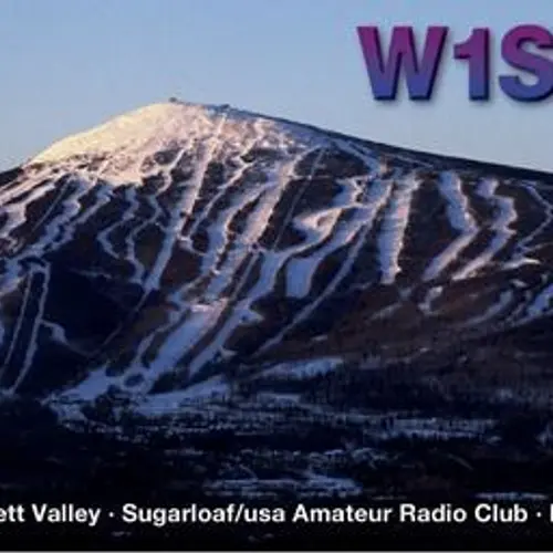 W1SLF profile image