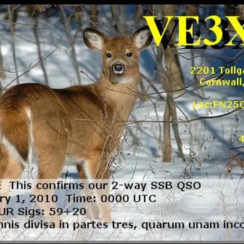 VE3XAT profile image