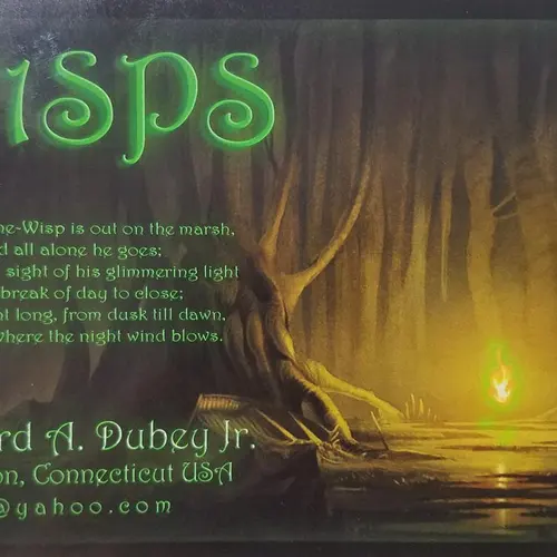 W1SPS profile image