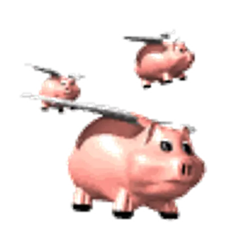 W8PIG profile image