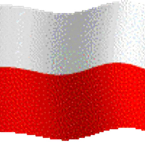 SP9RXP profile image