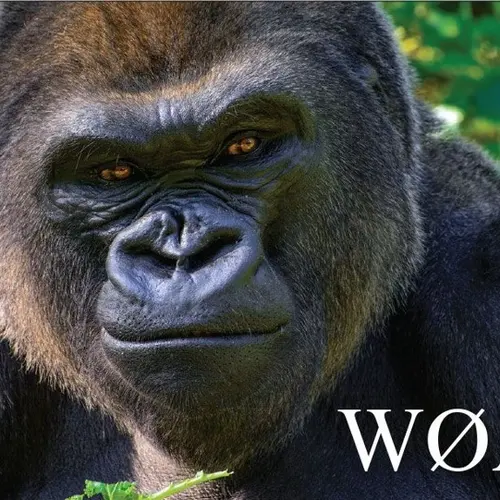 W0AE profile image