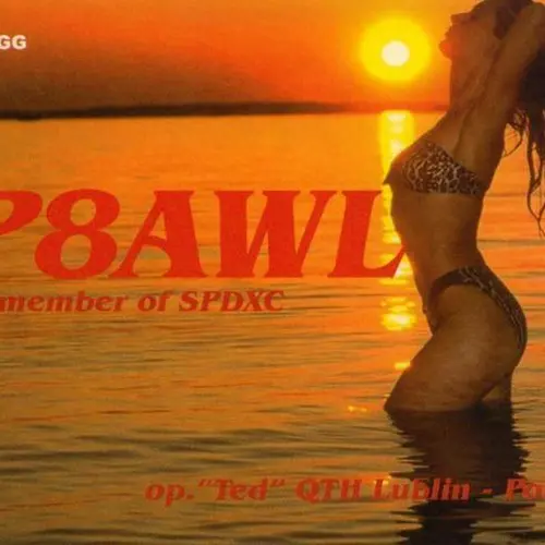 SP8AWL profile image