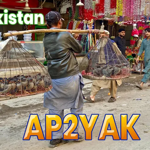 AP2YAK