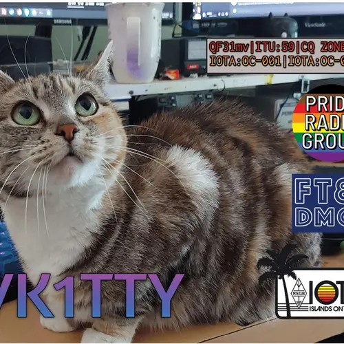 VK1TTY profile image