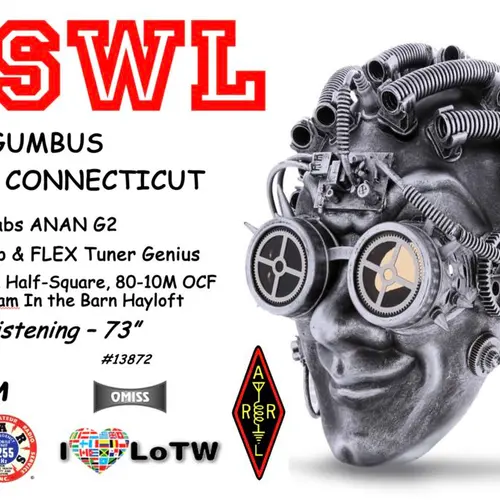 W1SWL profile image