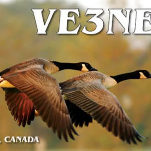 VE3NEA profile image