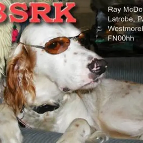 N3SRK profile image