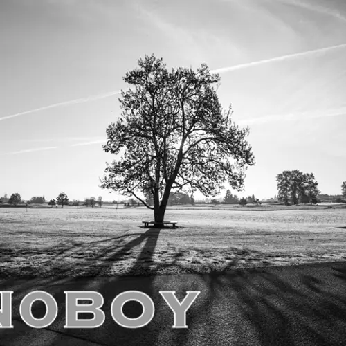 N0BOY profile image