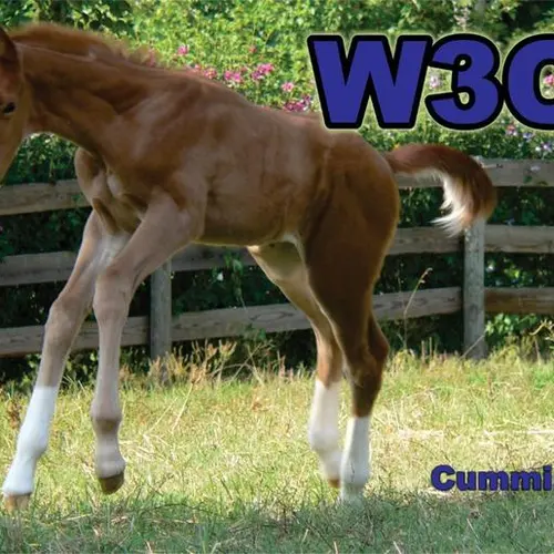 W3CP profile image